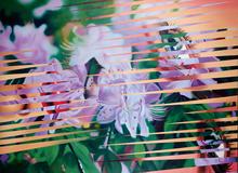 Pop Perspectives: Ramos, Rosenquist, Ruscha